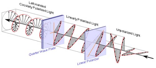 linear polarizer circular 3d